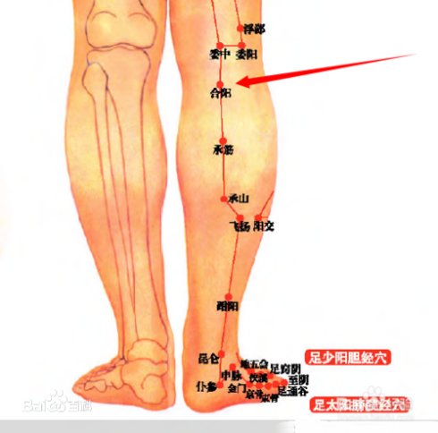 合阳穴