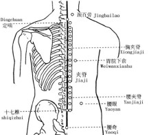 夹脊穴