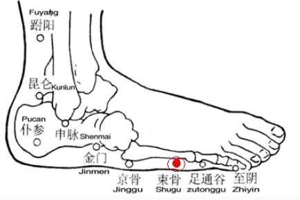 束骨穴