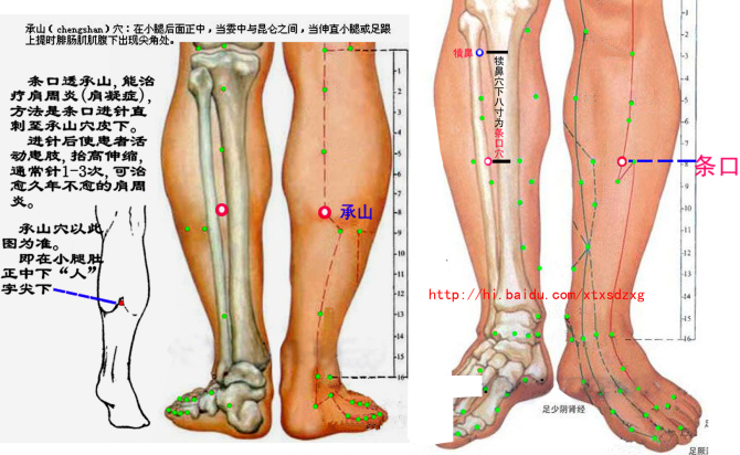 条口穴