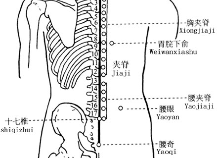 胃脘下俞穴