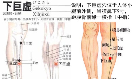 下巨虚穴