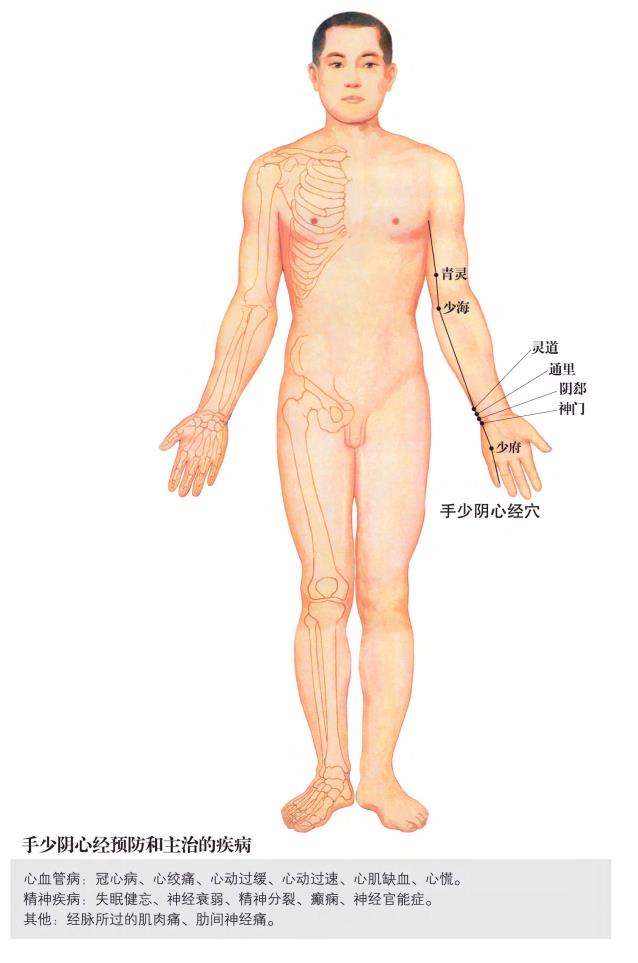 手少阴心经